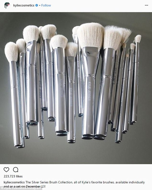 The set: The make-up mogul revealed the pricey brushes will be released on December 13