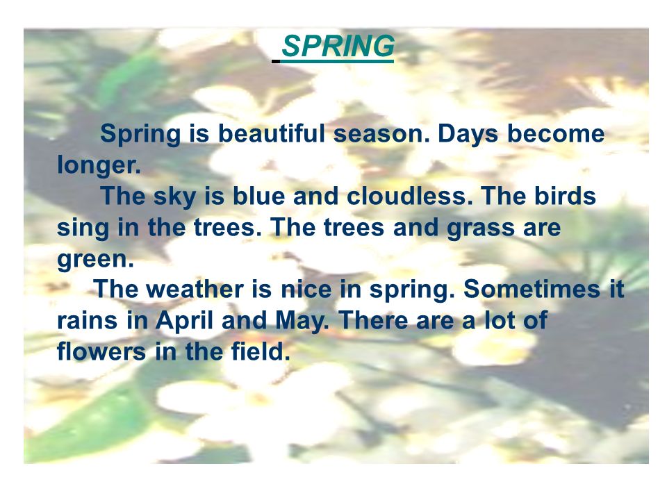 SPRING Spring is beautiful season. Days become longer.