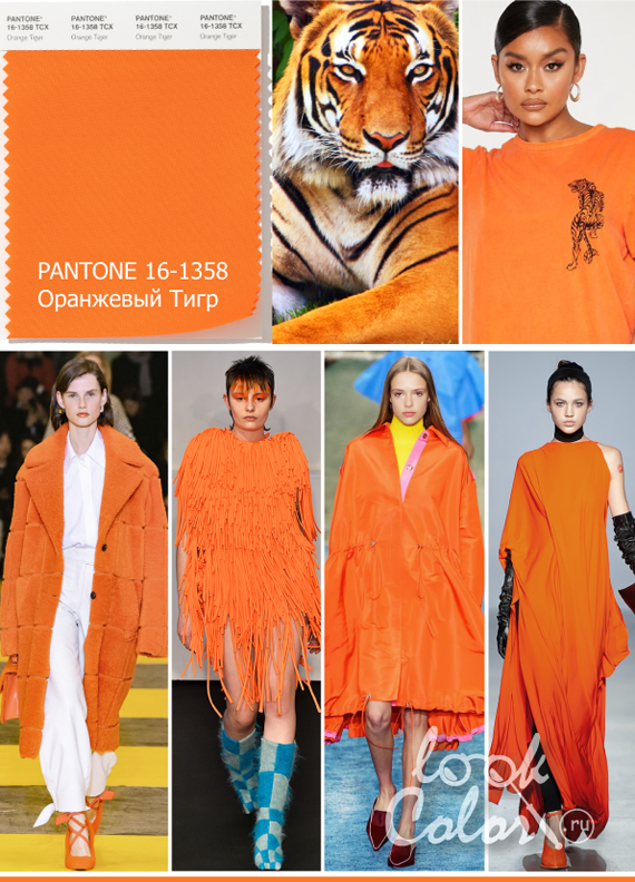 Модный оранжевый PANTONE 16-1358 Оранжевый Тигр Orange Tiger