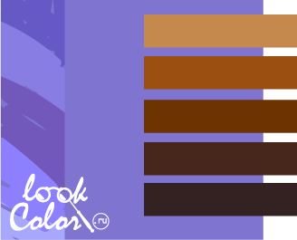 сочетание лавандового цвета с коричневым