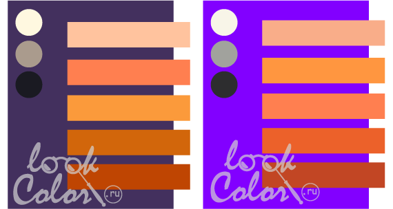 сочетание средне-фиолетового и ярко-фиолетового с оранжевым