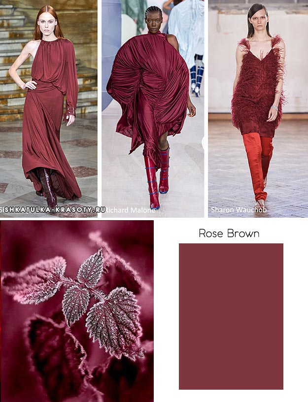 Rose Brown (Коричневая роза)