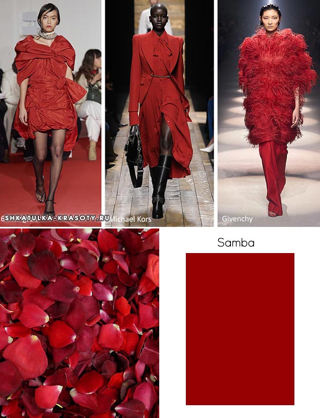 Модные цвета осень-зима 2020-2021 Самба