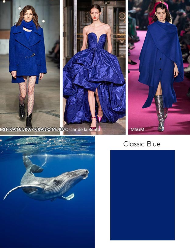 Pantone осень / зима 2020-2021 Цветовые тренды: классический синий
