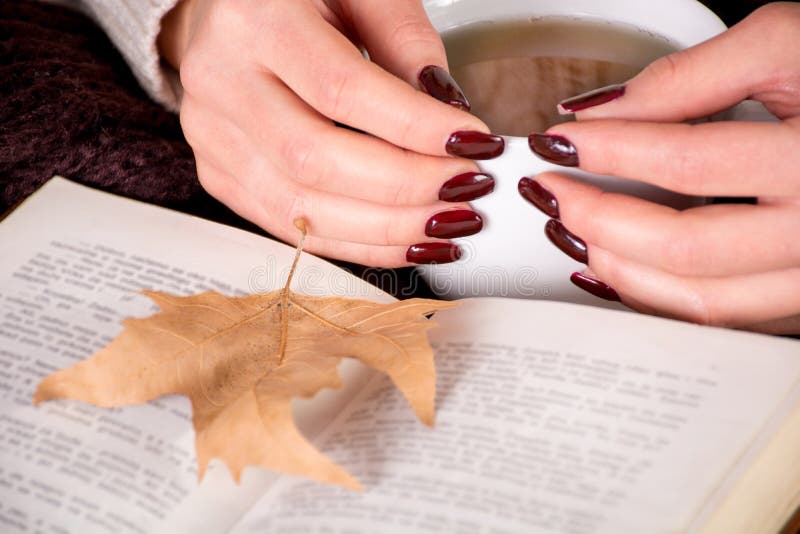 Autumn dry leaf on book and girl hands with brown manicure on nails finger holds cup of tea. Autumn dry leaf on book and young woman hands with brown manicure on royalty free stock photo