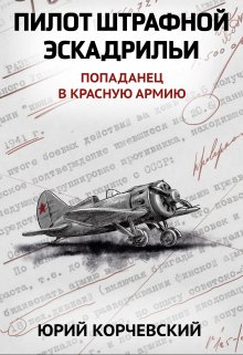 Пилот штрафной эскадрильи