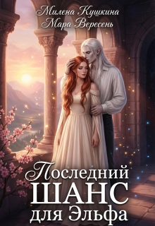 Последний шанс для эльфа