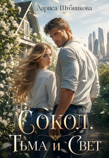 Сокол. Тьма и Свет
